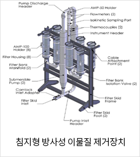 침지형 방사성 이물질 제거장치